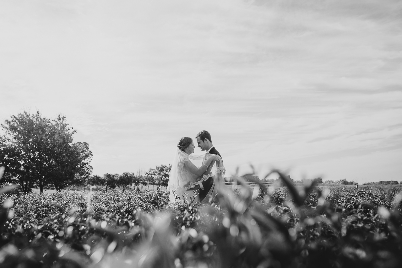 Hamilton_Wedding_Photographer_zealong_Estate_Megan_Tom-242