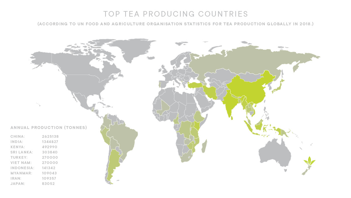 the-trouble-with-tea-a-brew-under-threat-zealong-tea-estate