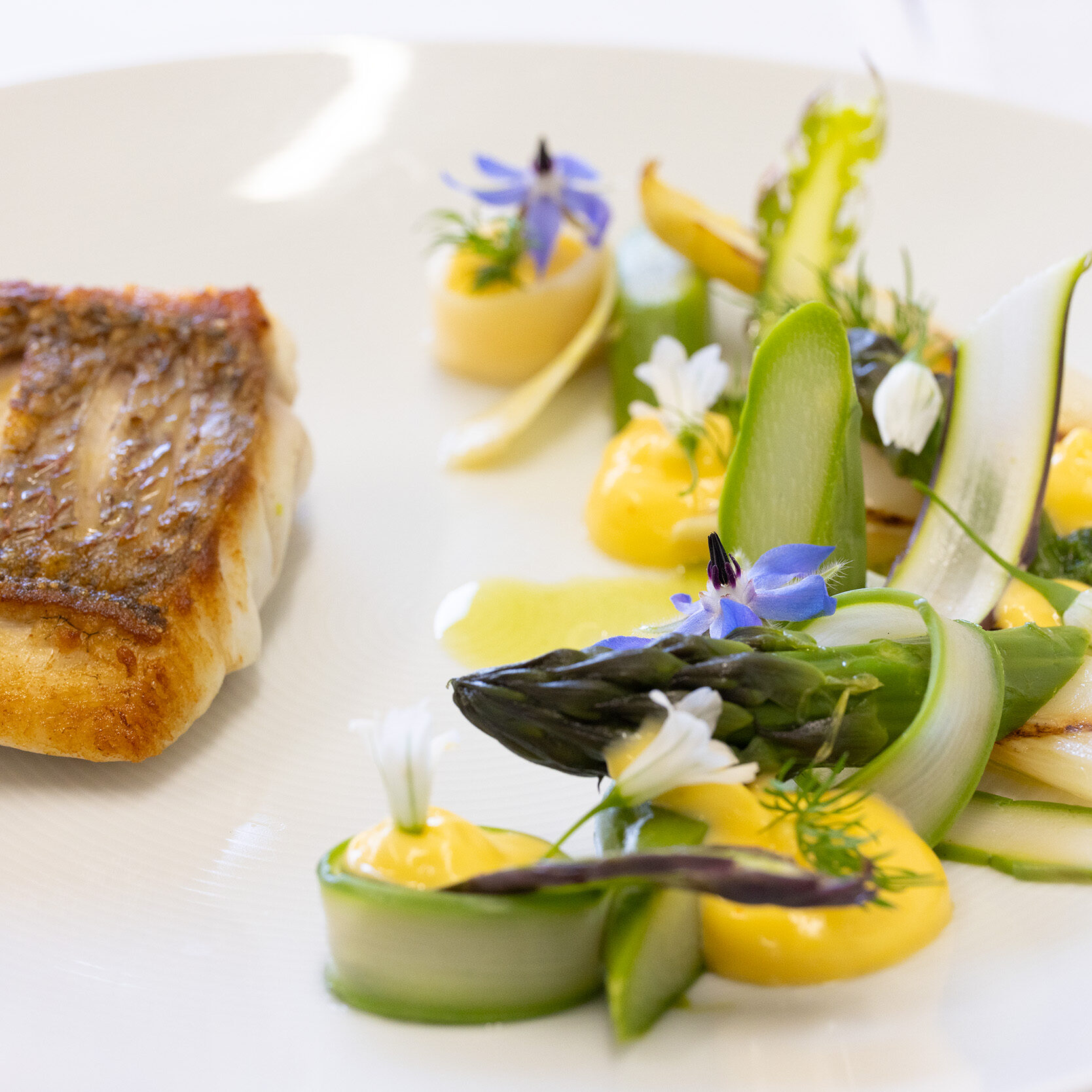 Camellia Restaurant - Snapper : white & green asparagus : hollandaise-2