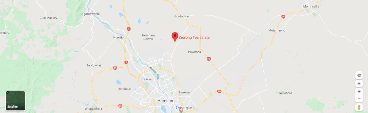 Zealong Estate Map